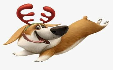 警犬来了读后感8篇