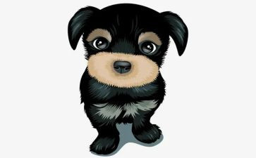 军犬黑子读后感6篇