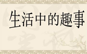 五一趣事作文范文5篇