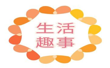 作文新年趣事300字8篇