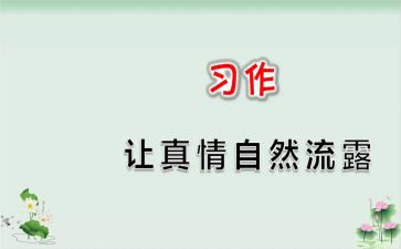 让真情自然流露作文600字7篇