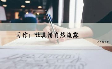 让真情自然流露作文600字模板5篇