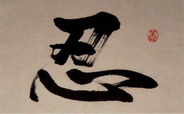 观看零容忍5专题片心得体会6篇