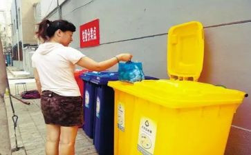 扔垃圾的心得体会参考6篇