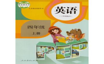2024年个人教师教育总结模板5篇