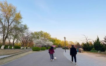 散步莫怀戚教案5篇
