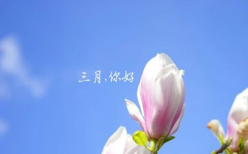 202年三月思想汇报7篇