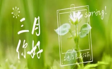 教师三月工作总结5篇