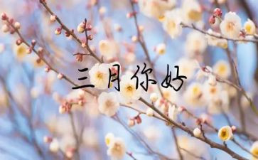 三月的工作计划参考5篇