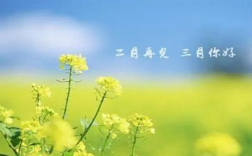 教师三月工作总结最新5篇