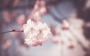 教师三月份工作计划6篇