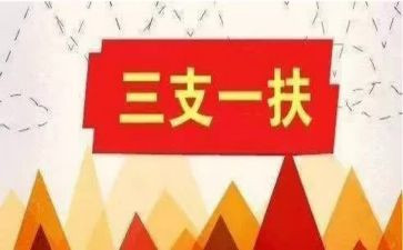 对三支一扶的心得体会5篇