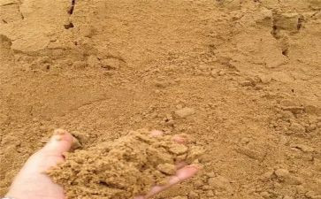 鲁迅的沙读后感优质8篇