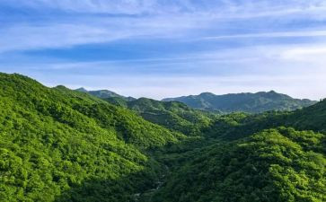 山鬼的读后感400字通用8篇