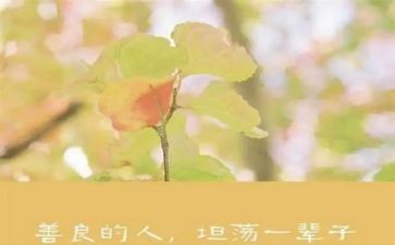 善主题读后感优质5篇