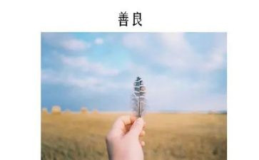 慈善爱演讲稿7篇