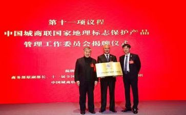 县工商联2024年工作总结6篇