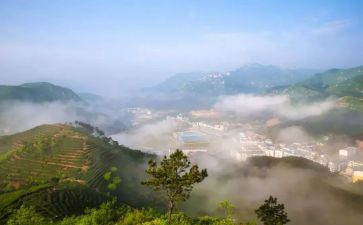 山中读后感7篇