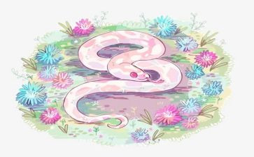 我和养的蛇作文400字优秀6篇