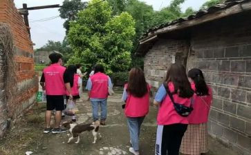 亲社会活动方案模板5篇