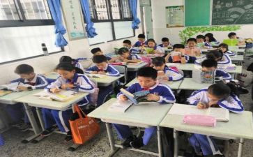 幼儿园社会课心得体会最新8篇