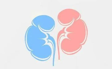 肾内科个人述职报告参考8篇