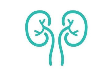 肾内科医师个人总结范文8篇