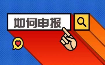 申报职称个人总结优质8篇