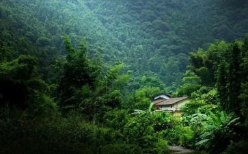 记忆的最深处600字作文5篇