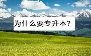 专升本个人总结7篇