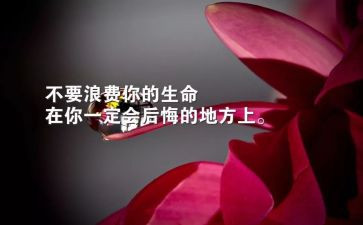 生存环境的作文5篇