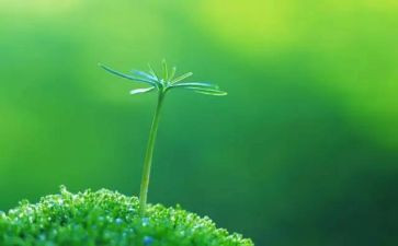 珍爱生命严防溺水讲话稿7篇