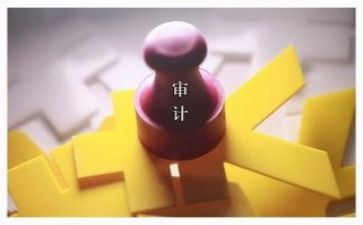 年度审计总结报告7篇