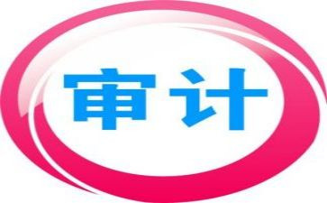 审计述职报告8篇