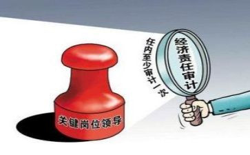 审计学个人心得体会5篇