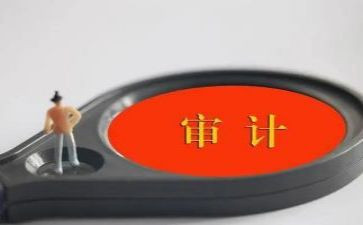 稽核审计工作总结6篇