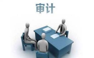 审计员述职报告范文6篇