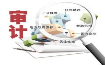 审计个人总结优质6篇