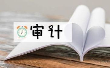 审计工作总结报告8篇
