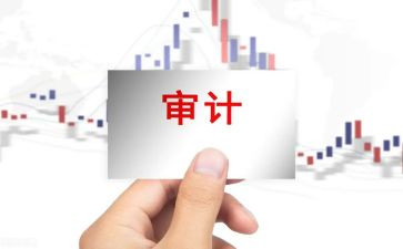 审计工作总结及2024年工作计划8篇