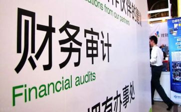 局审计工作总结参考8篇