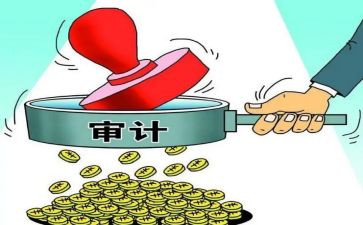 2024年审计个人总结报告7篇