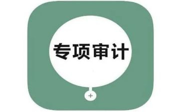 内部审计工作总结报告5篇
