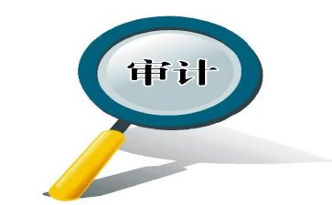 财务审计年终工作总结6篇