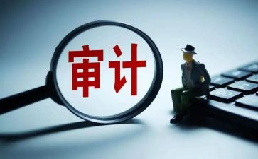 年终总结审计个人总结优质7篇