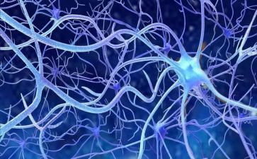 神经外科护士个人总结7篇