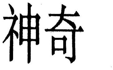 神奇的猫作文300字5篇