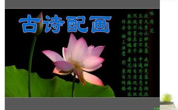 诗经颂读后感5篇