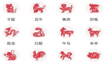 写十二生肖的故事小作文6篇