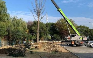 施工工作计划参考8篇